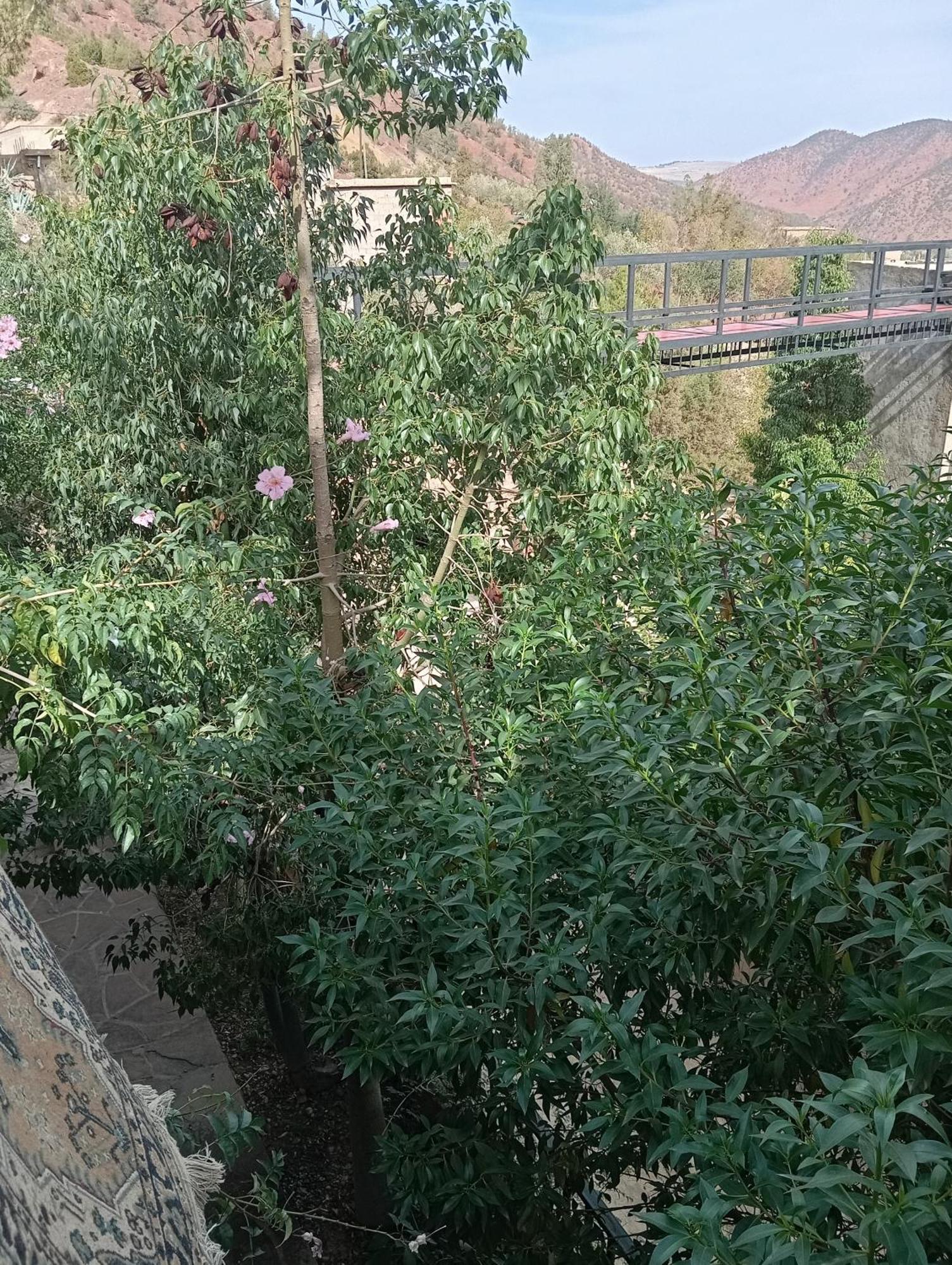 Dar Soulaimane Hotel Asguine Екстериор снимка